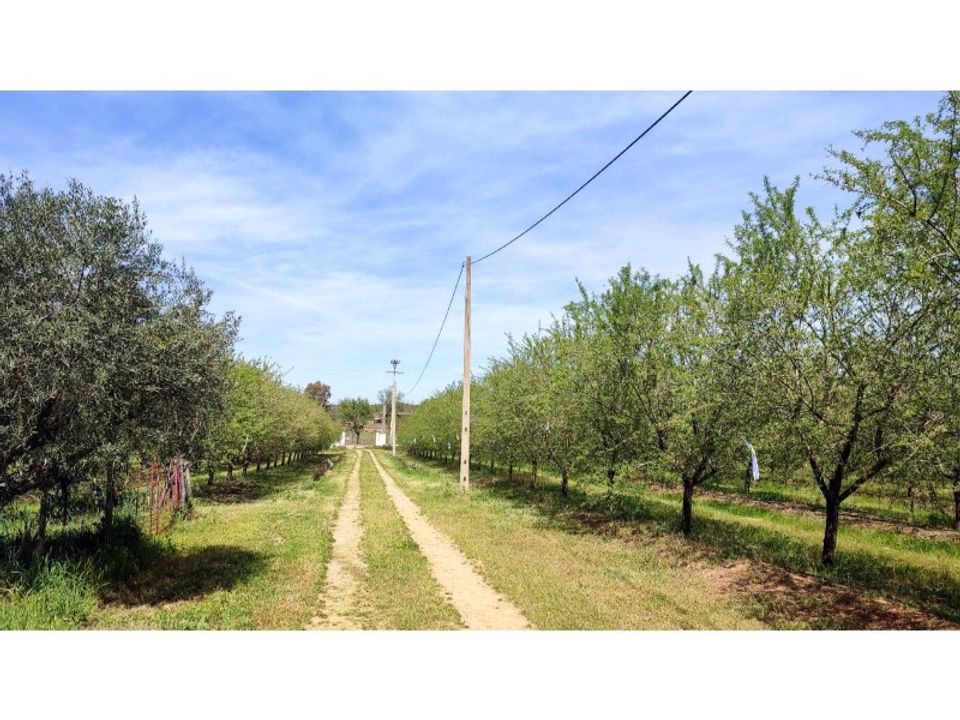 Farm i Mourao, Evora - foto 2