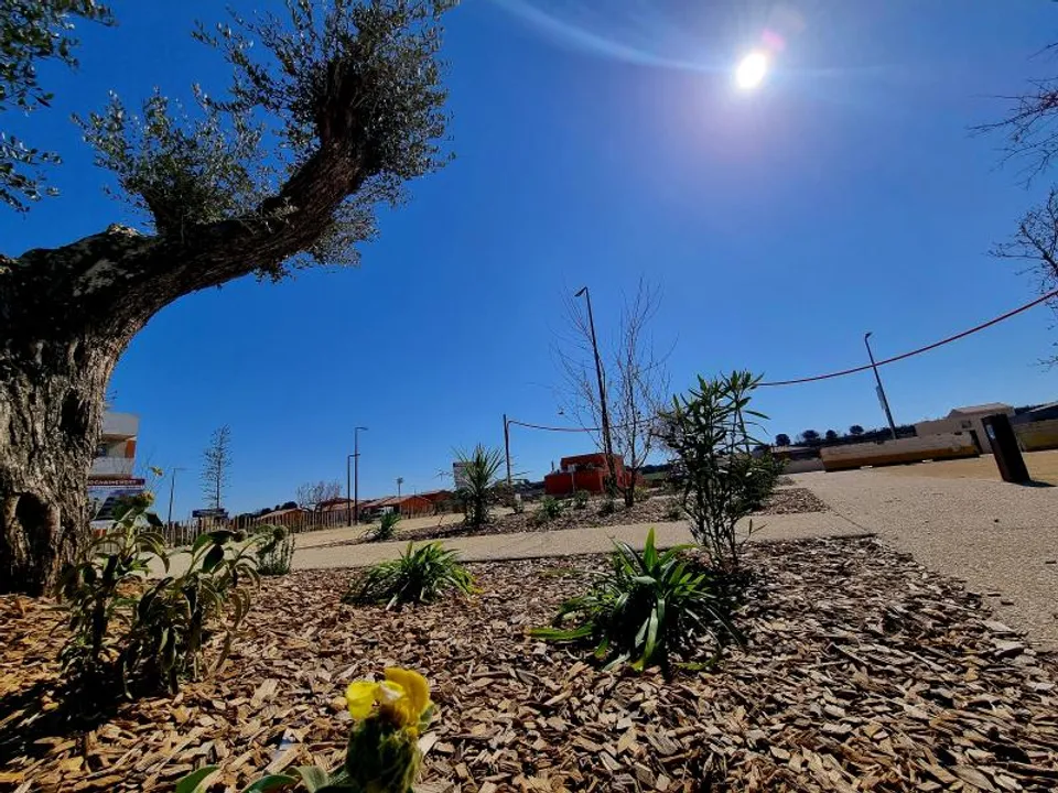 Helårsgrund i Sauvian, Herault - foto 3
