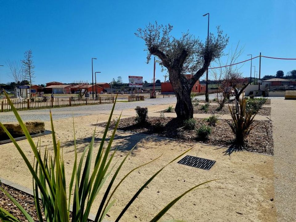 Helårsgrund i Sauvian, Herault - foto 5