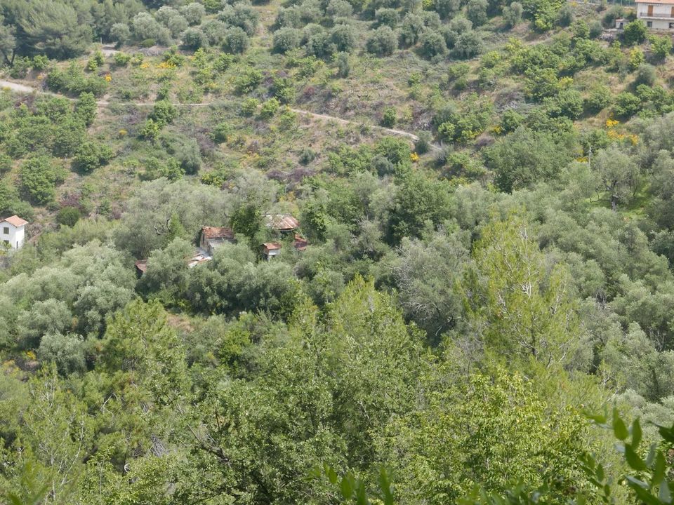 Terra em Perinaldo, Imperia - foto 1
