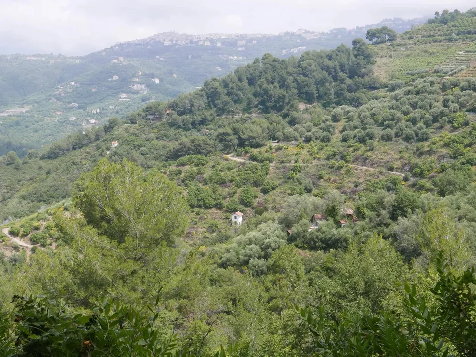 Terra em Perinaldo, Imperia - foto 3
