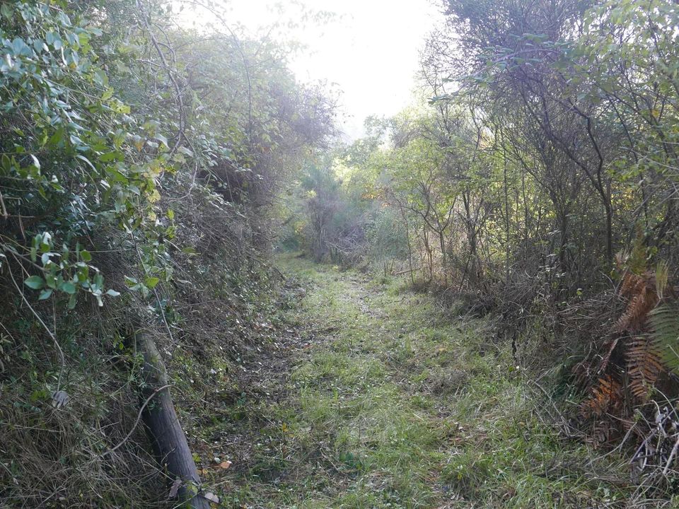 Terra em Perinaldo, Imperia - foto 4