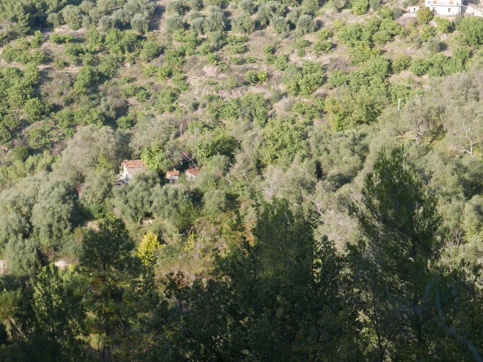 Terra em Perinaldo, Imperia - foto 5