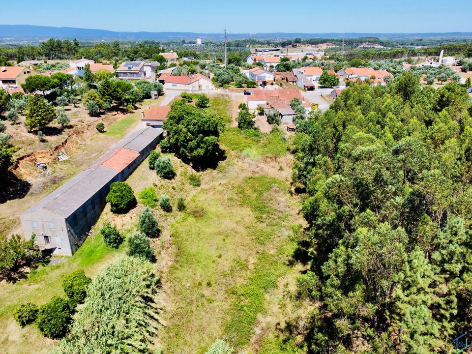Helårsgrund i Asseiceira, Santarem - foto 2