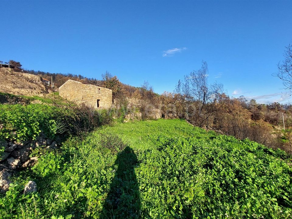 Landejendom i Guarda, Guarda - foto 3