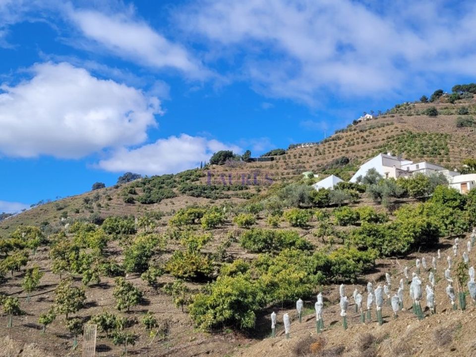 Cortijo i Competa, Malaga - foto 1