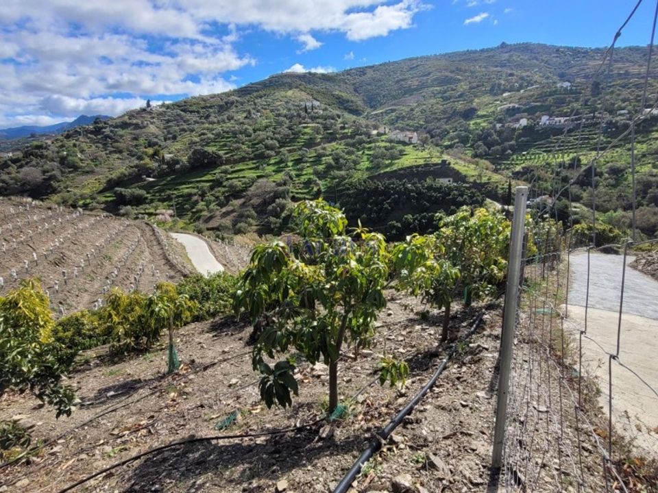 Cortijo i Competa, Malaga - foto 3
