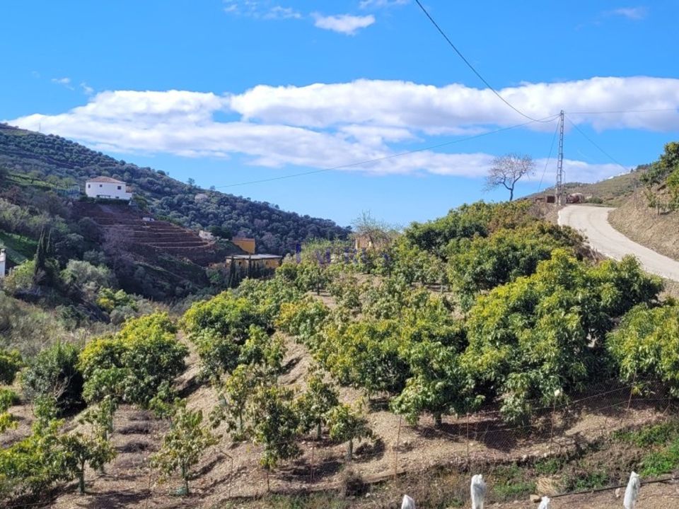 Cortijo i Competa, Malaga - foto 4