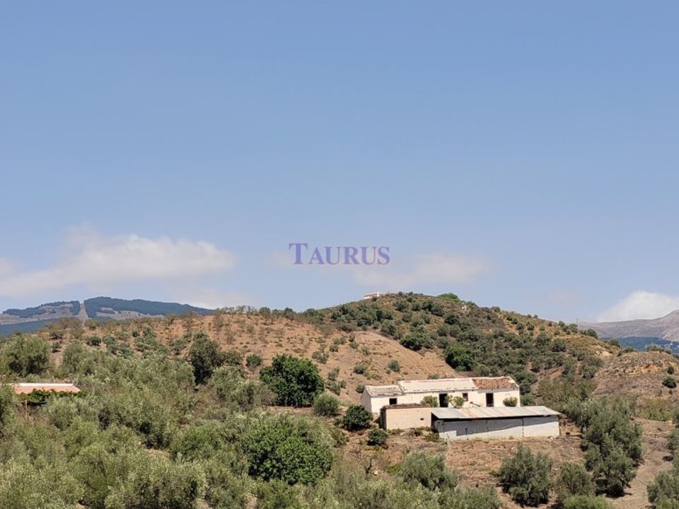 Cortijo i Canillas De Albaida, Malaga - foto 1