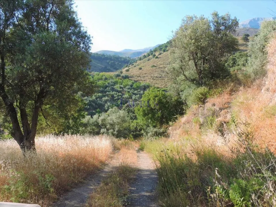 Cortijo in Sedella, Malaga - foto 2