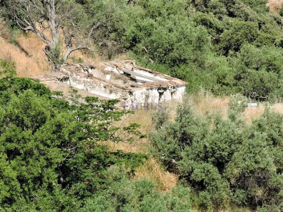 Cortijo in Sedella, Malaga - foto 3