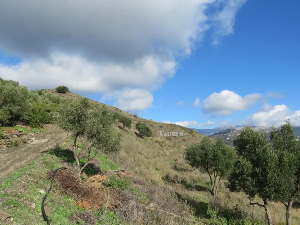 Helårsgrund i Sayalonga, Malaga - foto 2