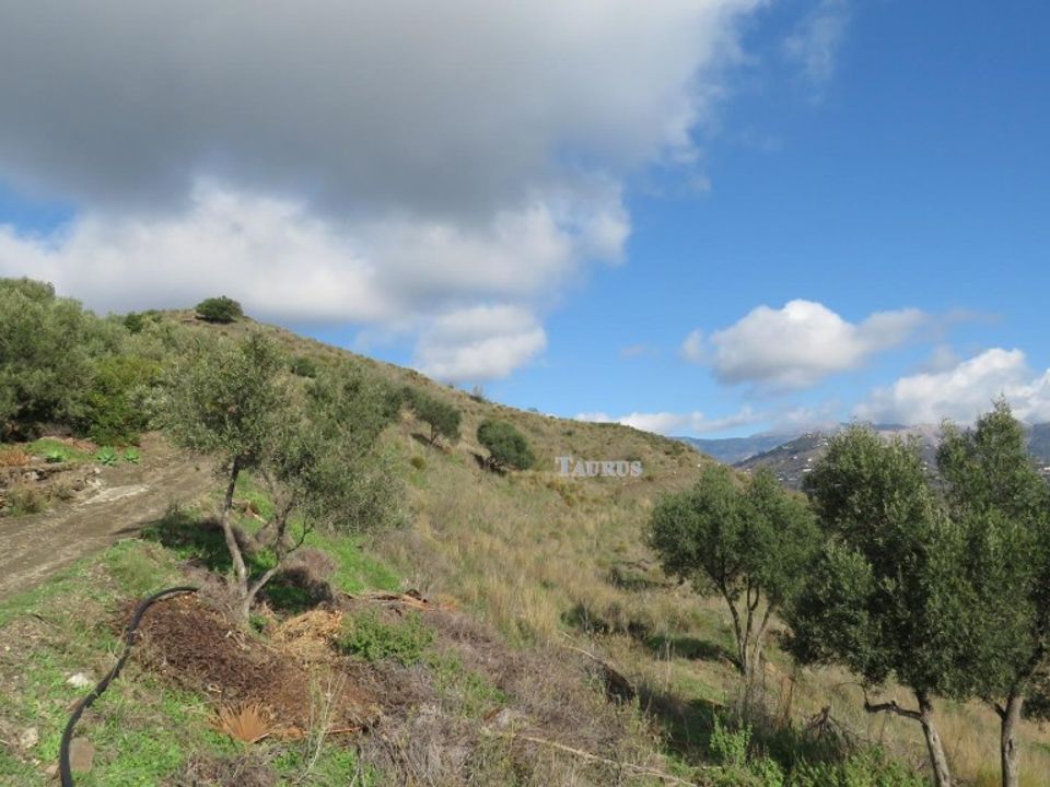 Helårsgrund i Sayalonga, Malaga - foto 3