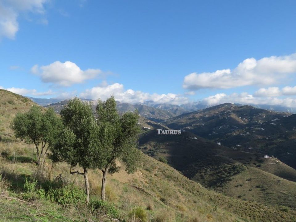 Helårsgrund i Sayalonga, Malaga - foto 4