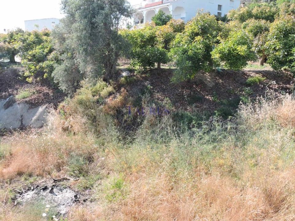 Helårsgrund i Canillas De Aceituno, Malaga - foto 2