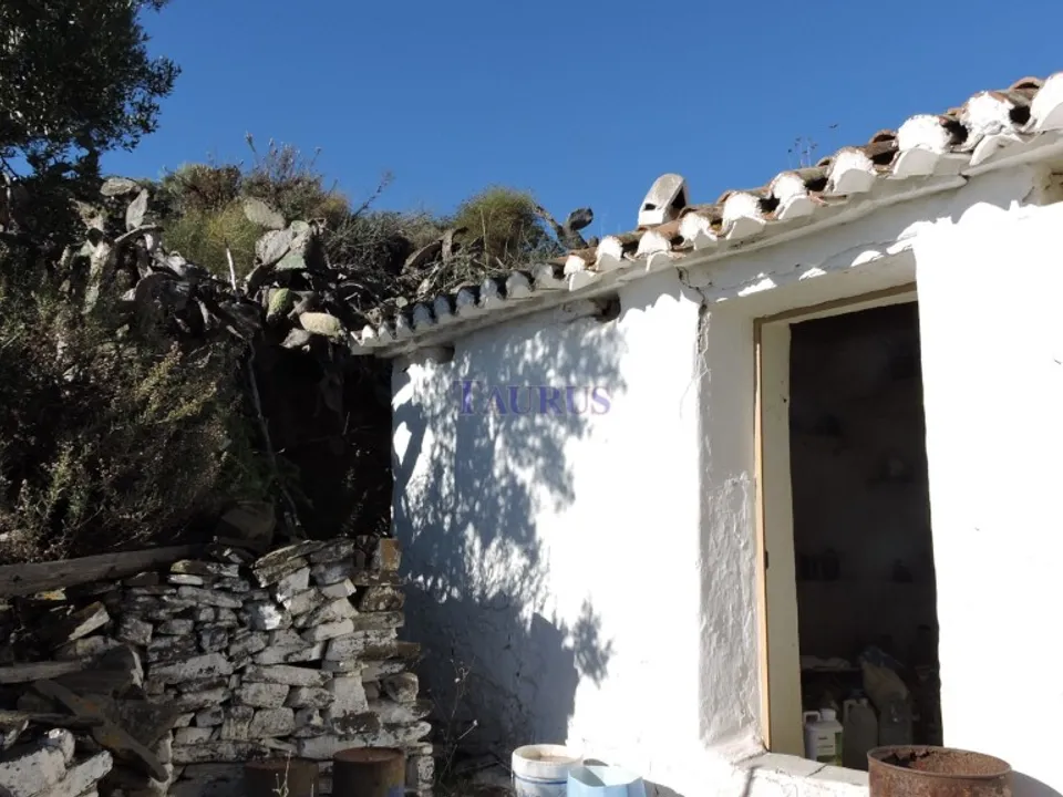 Cortijo i Sayalonga, Malaga - foto 2
