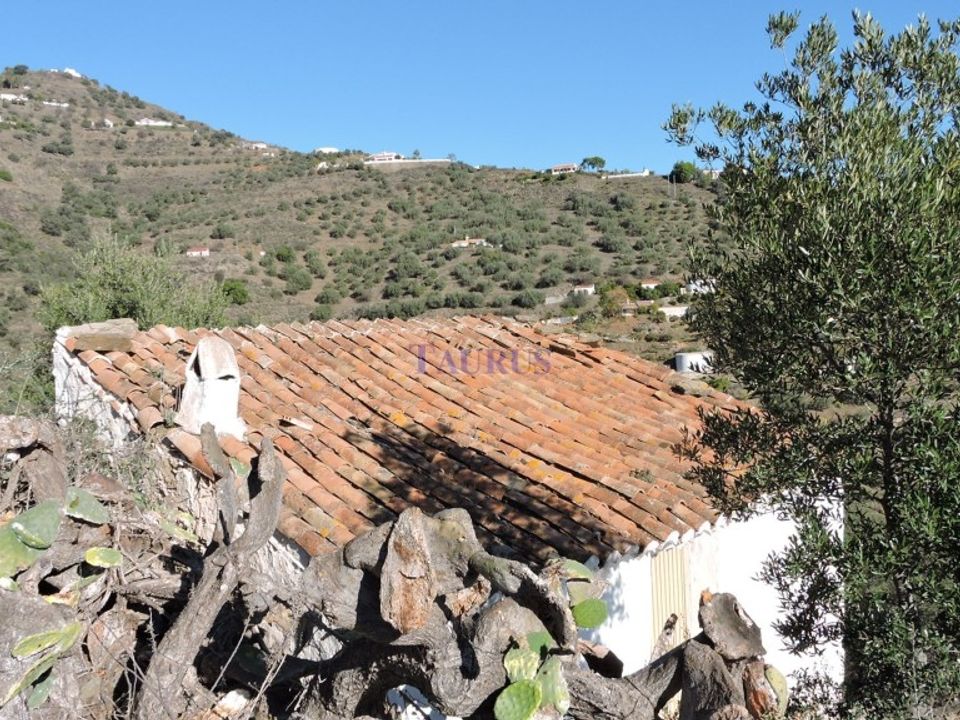 Cortijo i Sayalonga, Malaga - foto 5