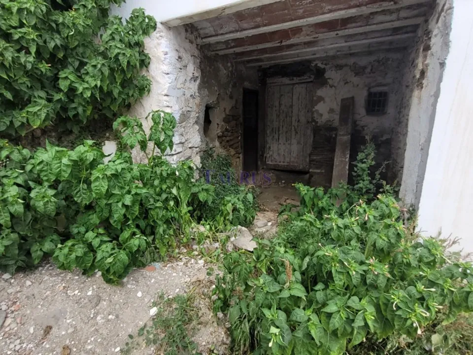 Landsbyhus i Sayalonga, Malaga - foto 2