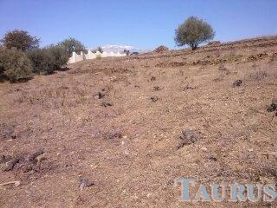 Helårsgrund i Sayalonga, Malaga - foto 2