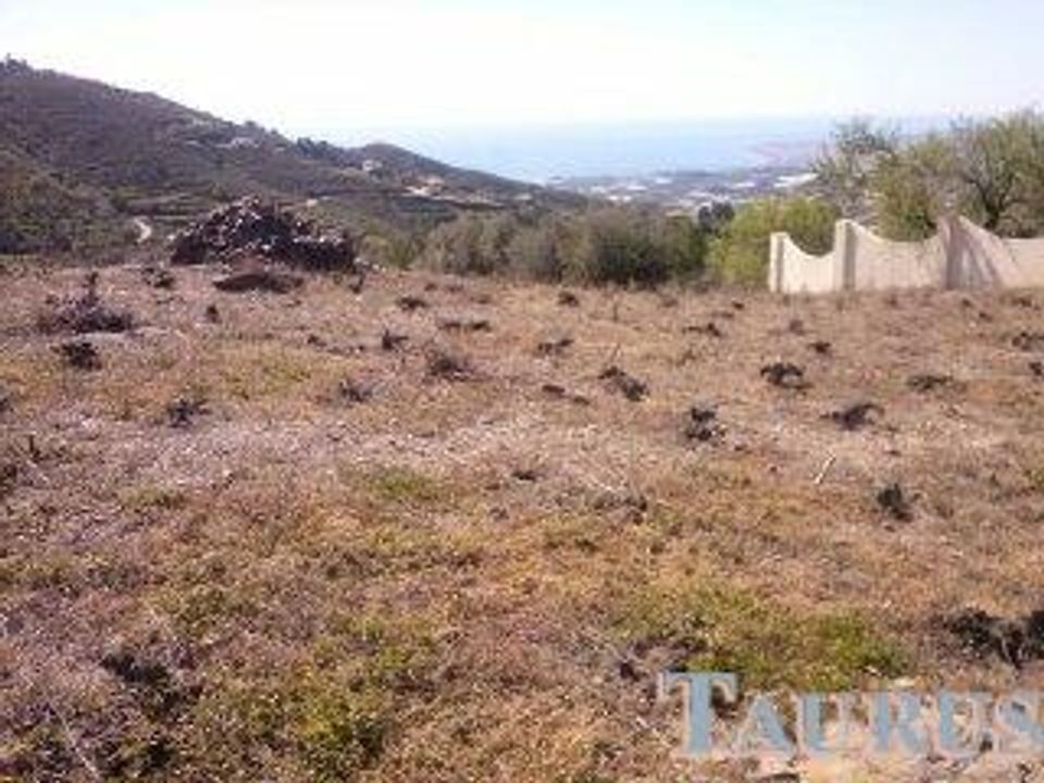 Helårsgrund i Sayalonga, Malaga - foto 3