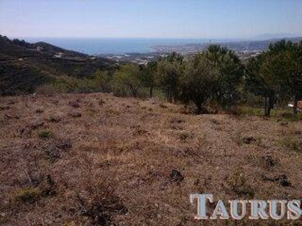 Helårsgrund i Sayalonga, Malaga - foto 4