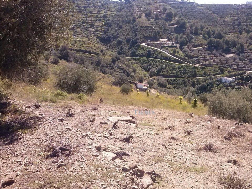 Helårsgrund i Sayalonga, Malaga - foto 5