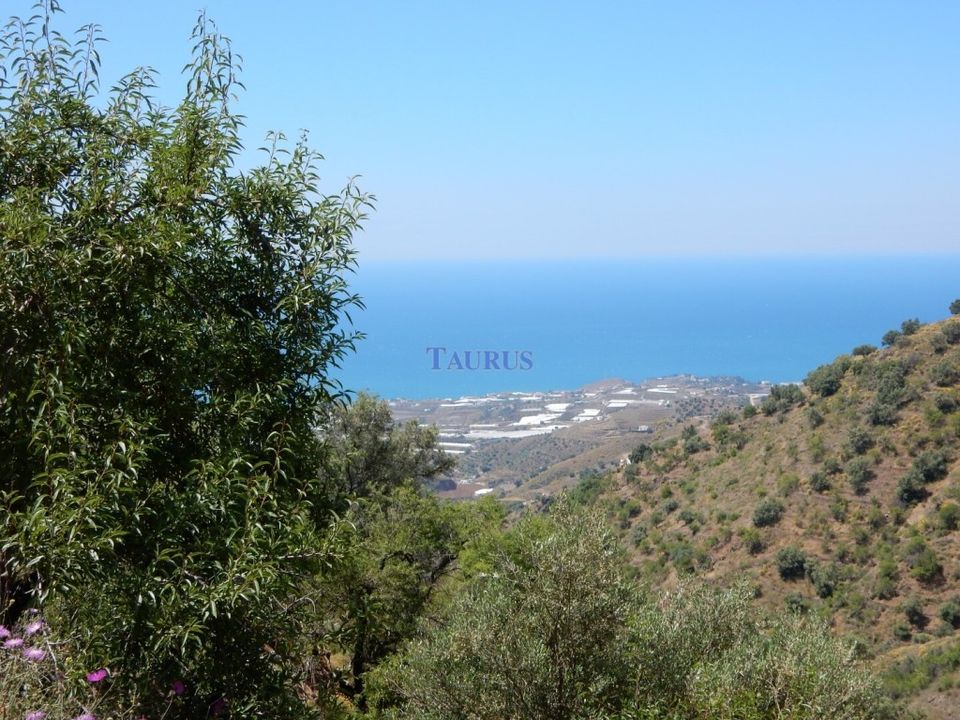 Helårsgrund i Sayalonga, Malaga - foto 4