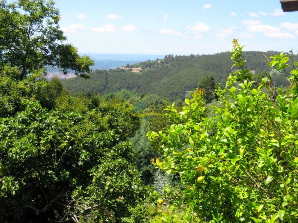 Villa i Espinhal, Coimbra - foto 5