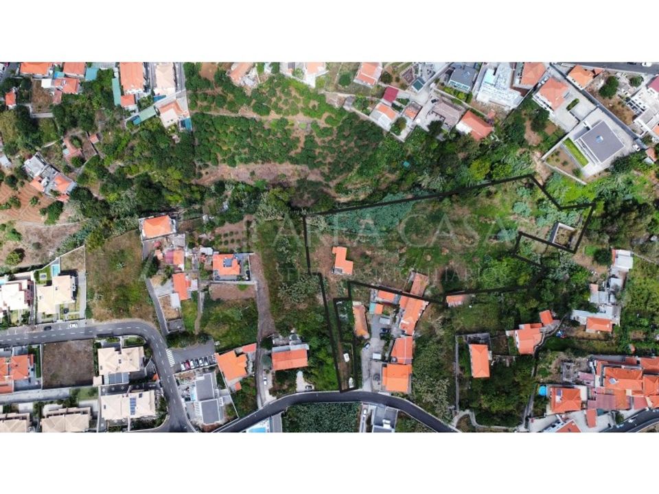 Helårsgrund i Sao Roque, Madeira - foto 5