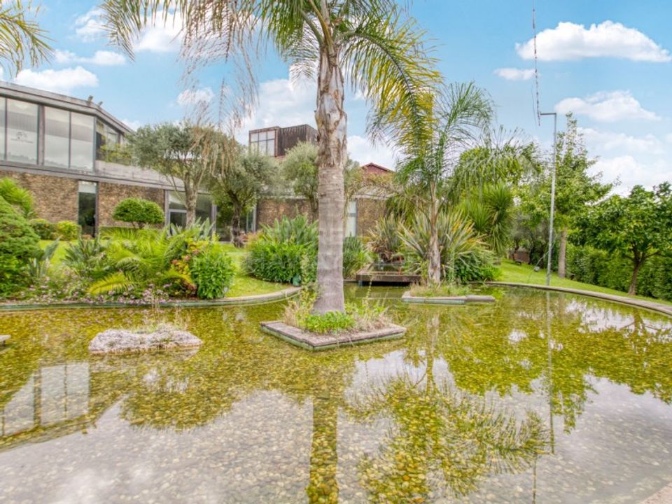 Farm i Briteiros, Braga - foto 2