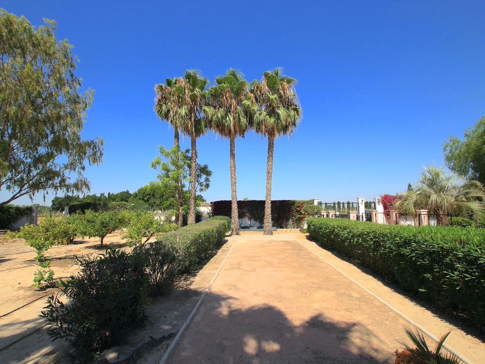 Finca i Daya Vieja, Alicante - foto 2