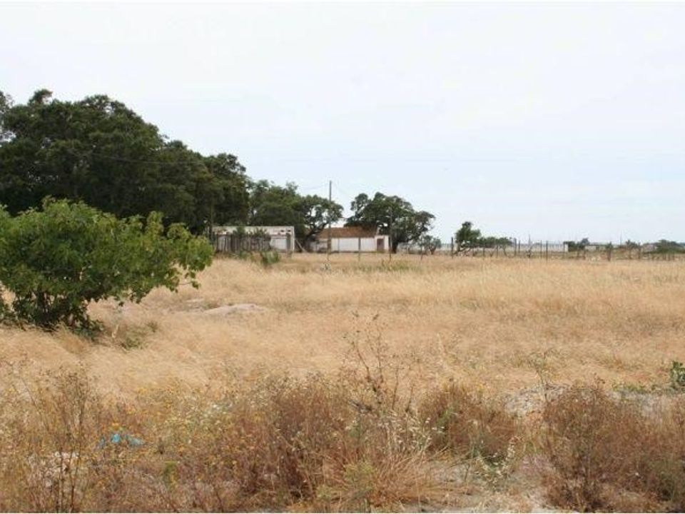 Helårsgrund i Montijo, Setubal - foto 4