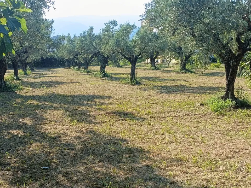 Helårsgrund i Lamezia Terme, Catanzaro - foto 1