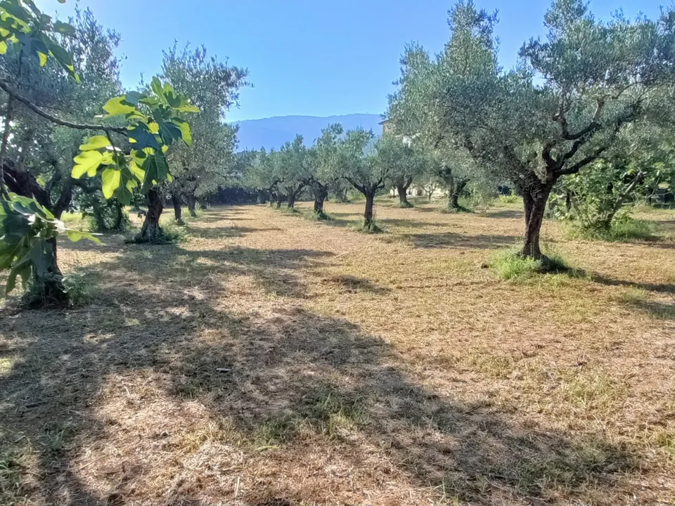 Helårsgrund i Lamezia Terme, Catanzaro - foto 2