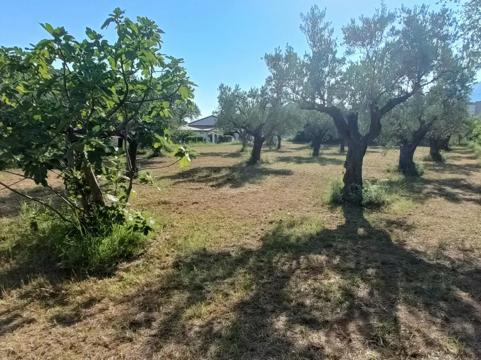 Helårsgrund i Lamezia Terme, Catanzaro - foto 3