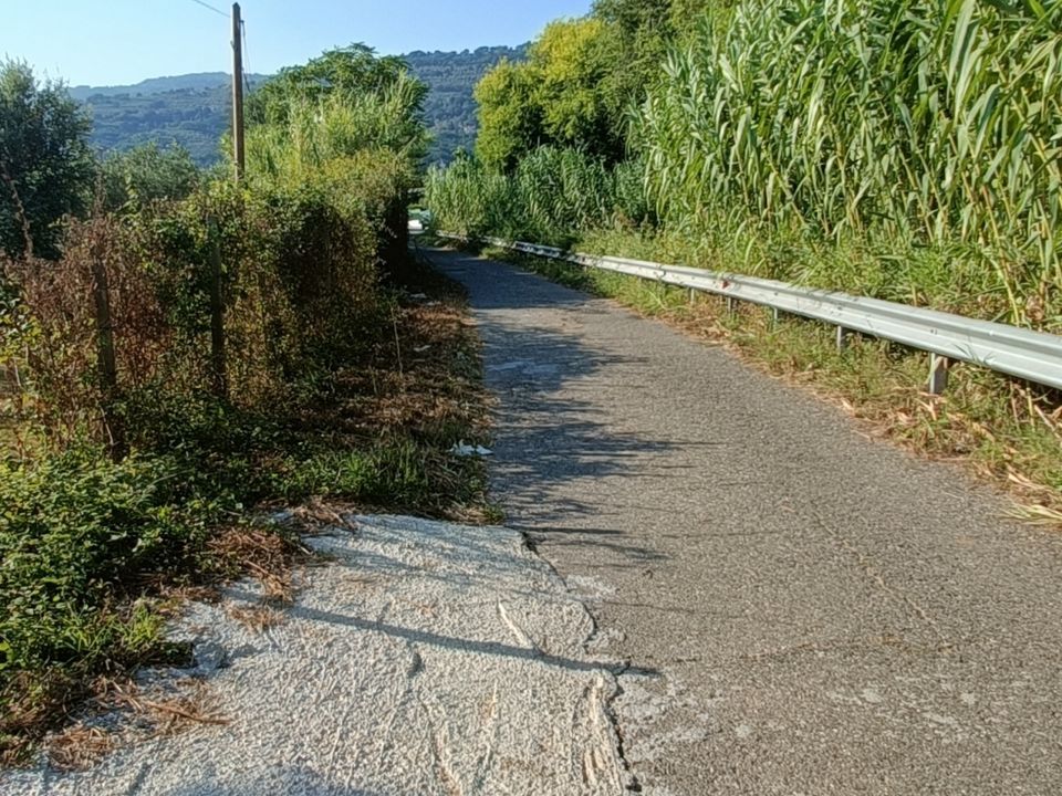 Helårsgrund i Lamezia Terme, Catanzaro - foto 4