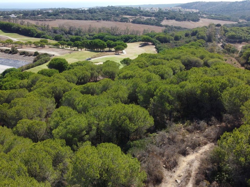 Helårsgrund i Sotogrande, Cadiz - foto 1