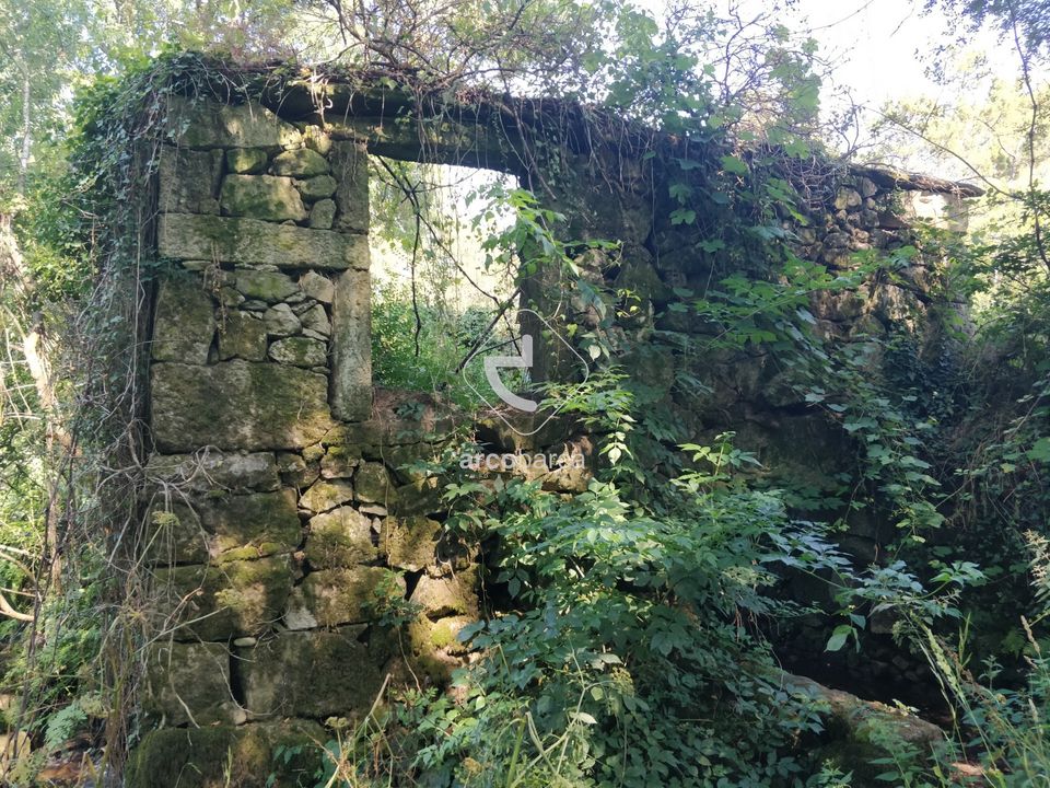Farm i Paredes de Coura, Viana do Castelo - foto 5