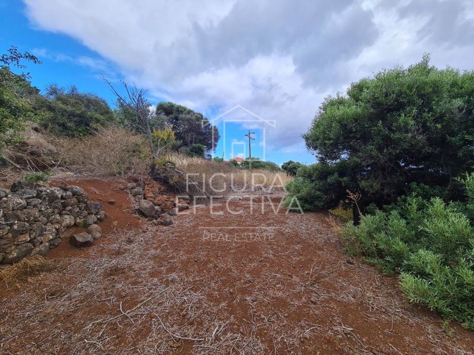 Helårsgrund i Caniço, Madeira - foto 3