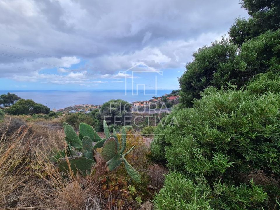 Helårsgrund i Caniço, Madeira - foto 4