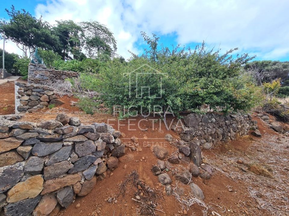 Helårsgrund i Caniço, Madeira - foto 5