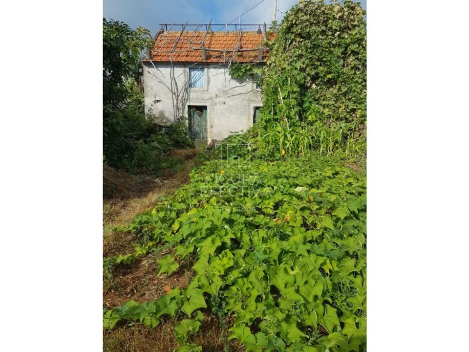 Masia a Calheta, Madeira - foto 1