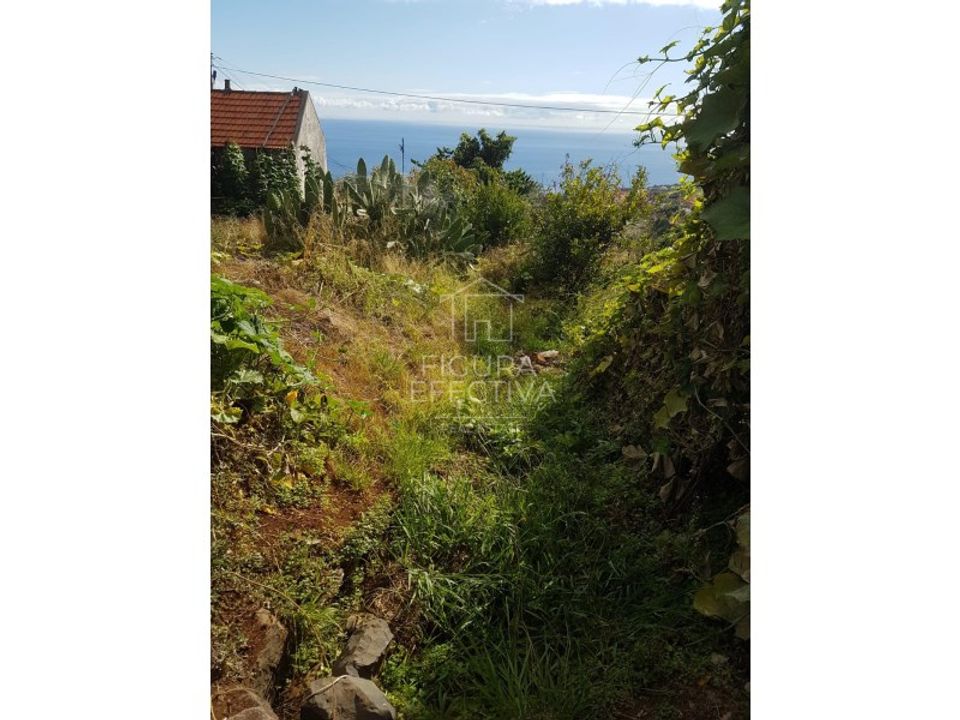 Masia a Calheta, Madeira - foto 4