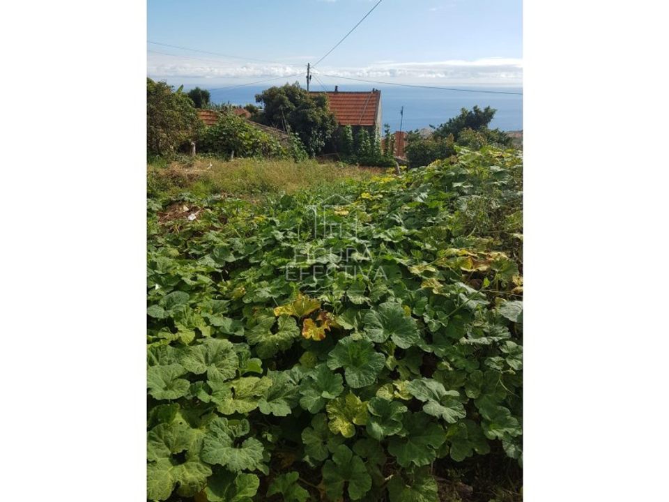 Masia a Calheta, Madeira - foto 5