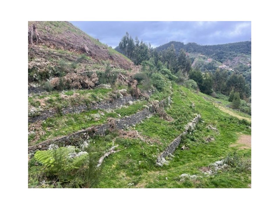 Helårsgrund i Santa Cruz, Madeira - foto 1