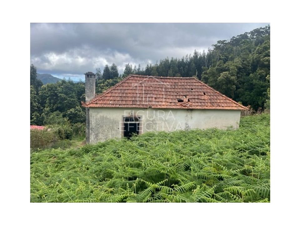 Helårsgrund i Santa Cruz, Madeira - foto 2
