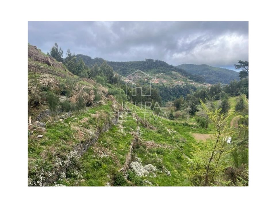 Helårsgrund i Santa Cruz, Madeira - foto 5