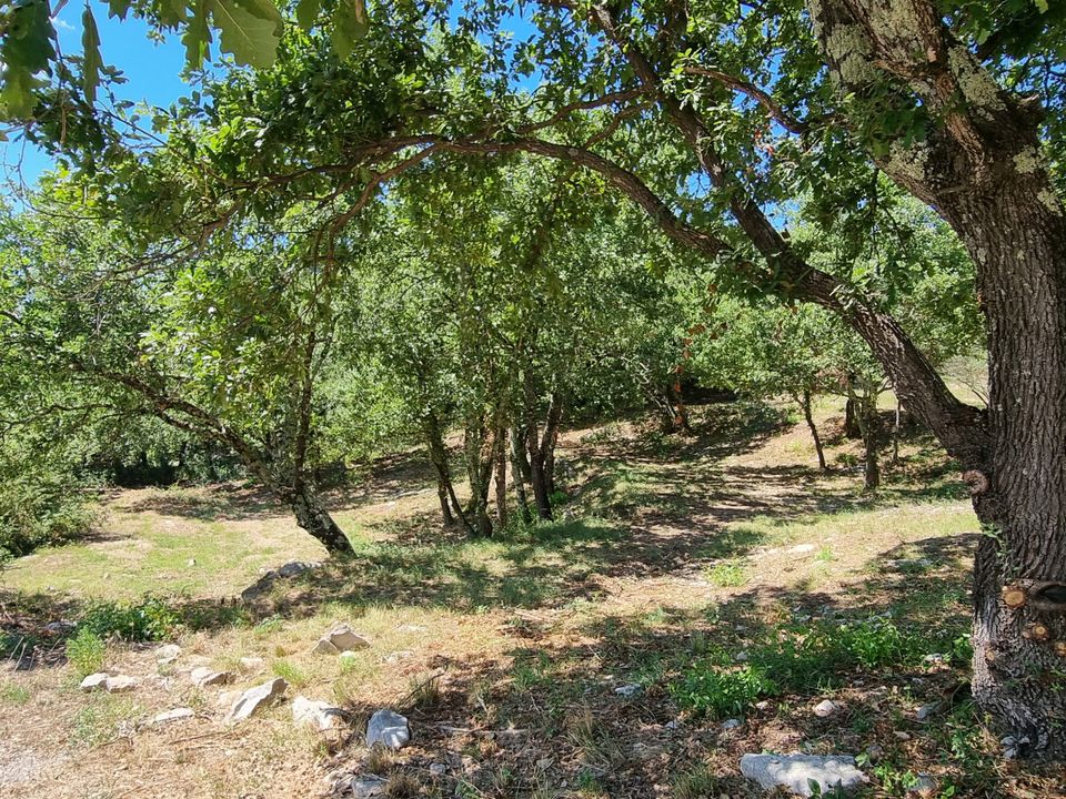 Helårsgrund i Moules-et-Baucels, Herault - foto 3