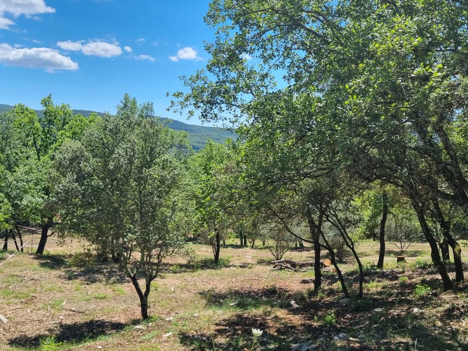 Helårsgrund i Moules-et-Baucels, Herault - foto 1