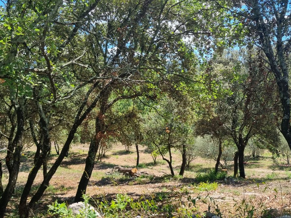 Helårsgrund i Moules-et-Baucels, Herault - foto 2